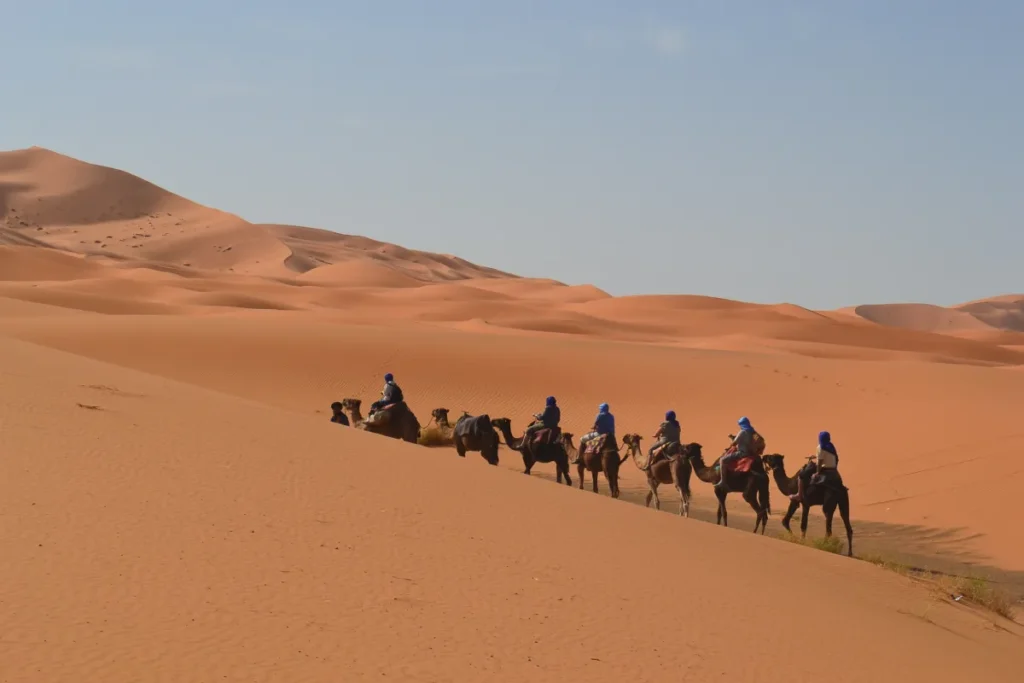 Morocco desert tours from Marrakech