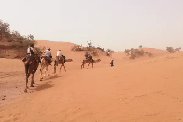 Camel ride experience in Mhamid El Ghizlane gateway to Erg Chegaga