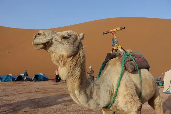 Morocco Mountain & desert treks