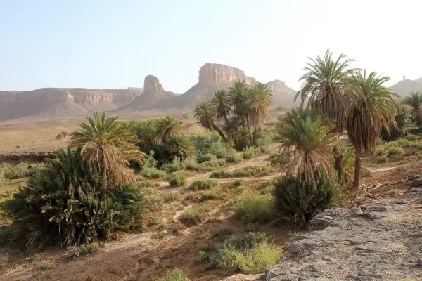 Off-road desert route between Erg Chegaga and Foum Zguid in Morocco