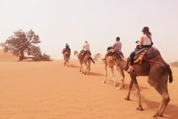 Mhamid Desert guided tour including camel ride