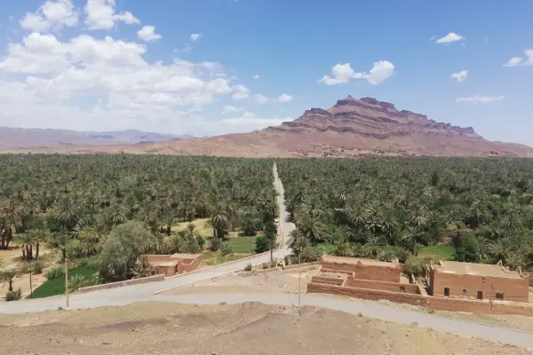 Draa Valley palm oasis southern Morocco