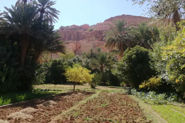 valley of tinghir morocco