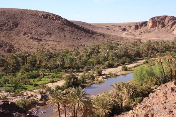 Local life in Fint Oasis Morocco