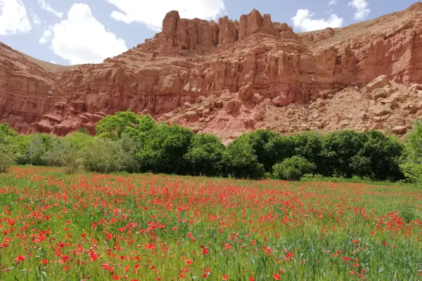 Multi-day trekking experience in the Valley of Roses region